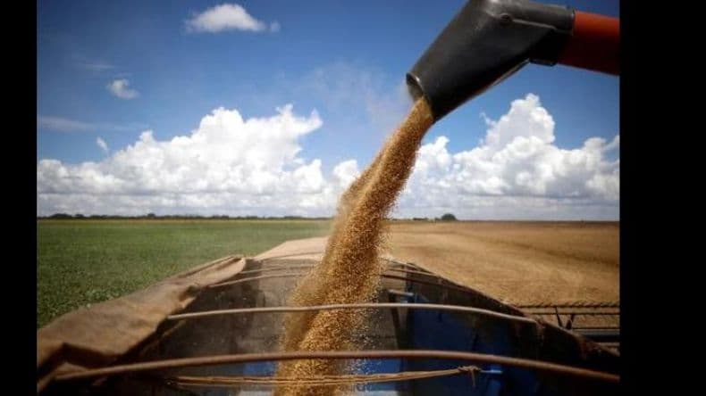 Cosecha de soja: rindes, consumo interno, exportaciones y transportes