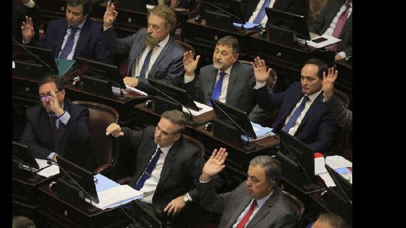 Ingresó el proyecto de aborto legal al Senado y el jueves lo presentan