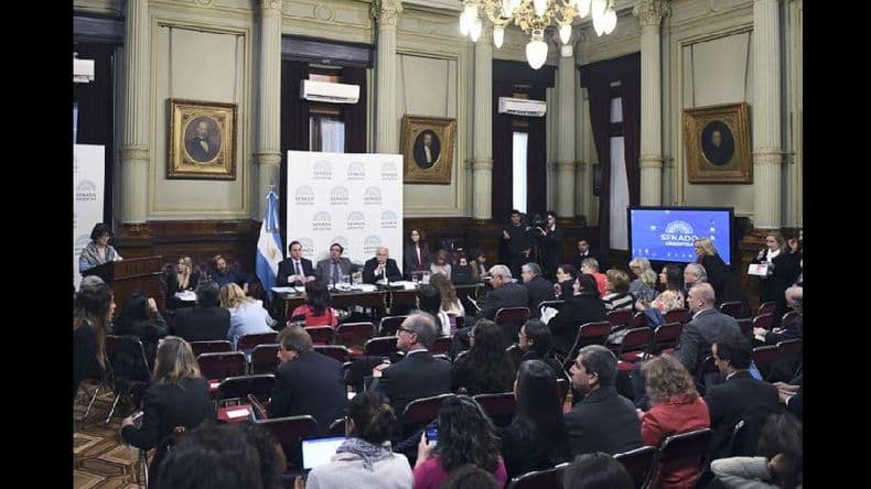 Concluyó la segunda ronda de exposiciones sobre aborto con intensos debates