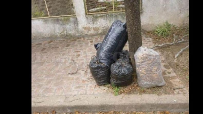 Cómo será el cronograma de recolección de residuos voluminosos para junio