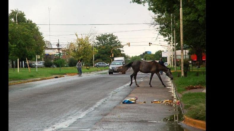 Piden que la Provincia brinde respuestas respecto a obras pendientes en Pergamino