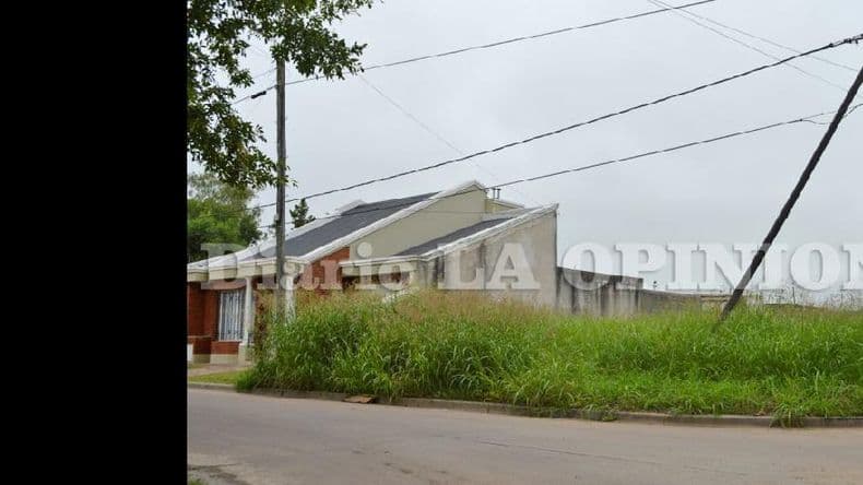 Terrenos baldíos con pastos altos: un problema estival