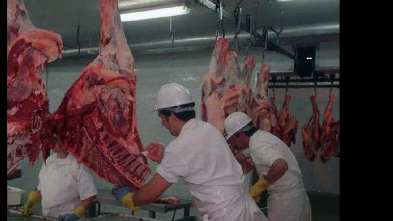 Desde el Ipcva consideran que se debe aumentar el peso de faena vacuna
