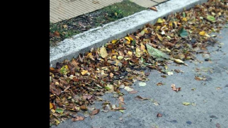 Recomendaciones de Higiene Urbana para el barrido de calles