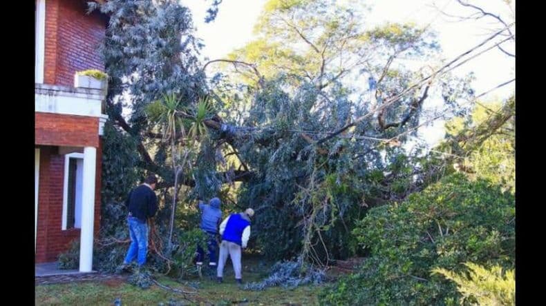 El temporal generó destrozos y cortes de luz en varios distritos bonaerenses