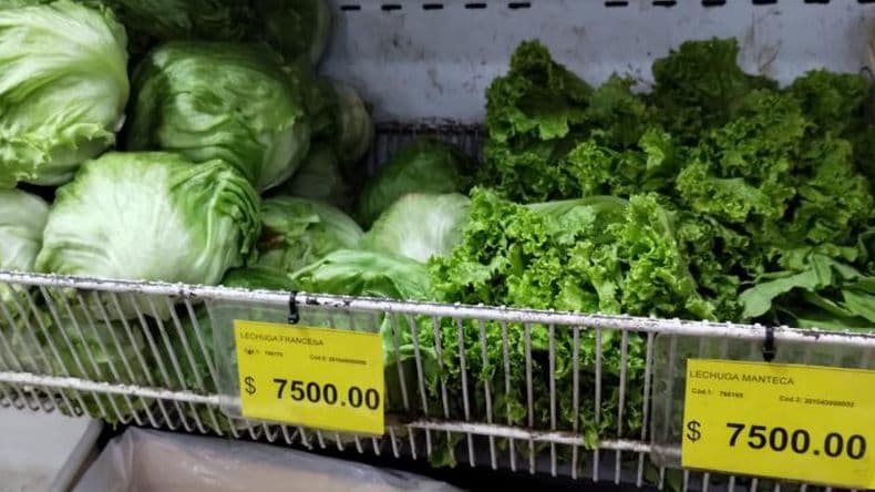 Por las nubes: el kilo de lechuga cotiza como un kilo de asado