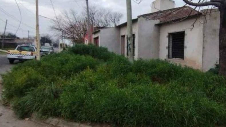 Una ciudad limpia y ordenada, ejes del trabajo que lleva a cabo Inspección General