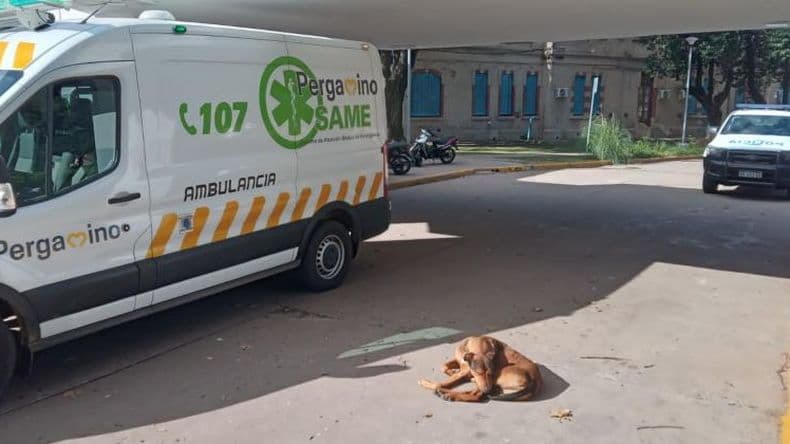 Le dieron de alta a la bebé baleada en un accidente doméstico y la madre declaró en la Fiscalía
