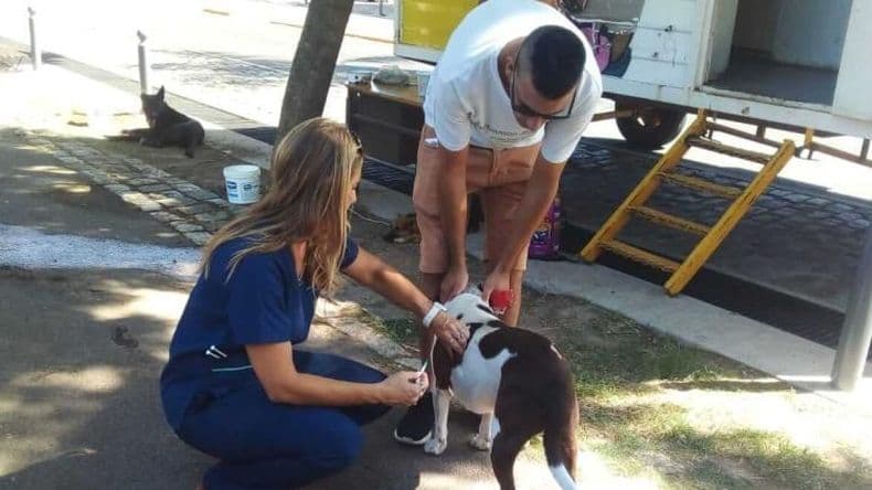 Veterinarios hacen "un llamado a la prevención" contra la rabia