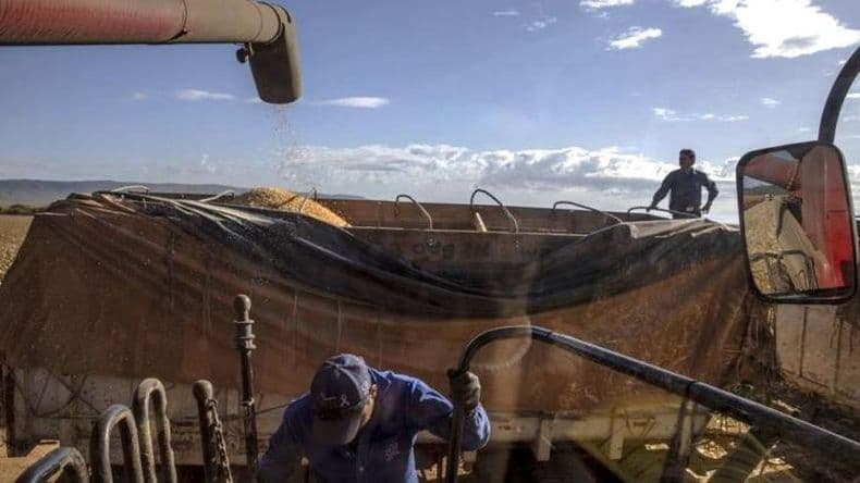 Tras la recesión de 2024, ¿Qué se espera en 2025 para la Argentina?