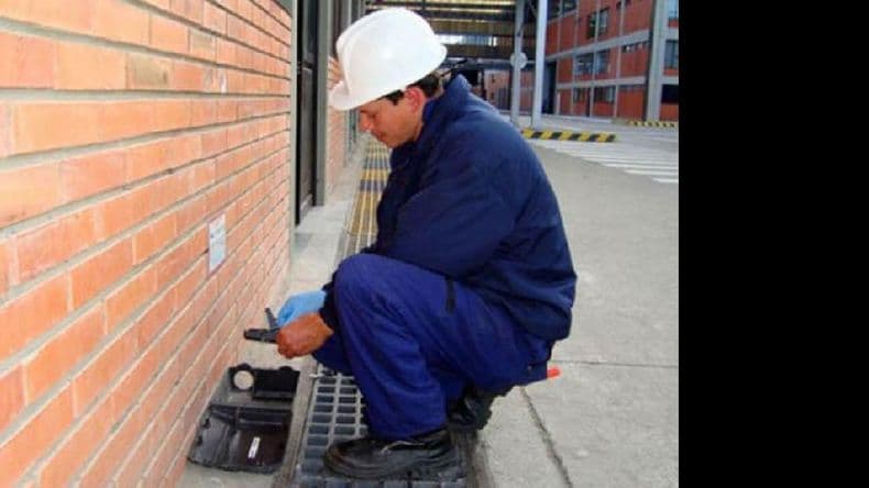 Importantes trabajos se realizan para el control de los roedores