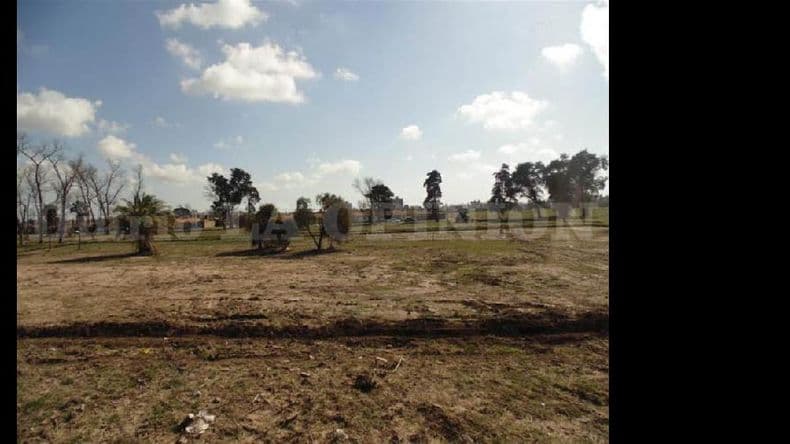 Lotes con servicios: nuevas gestiones para lograr terrenos