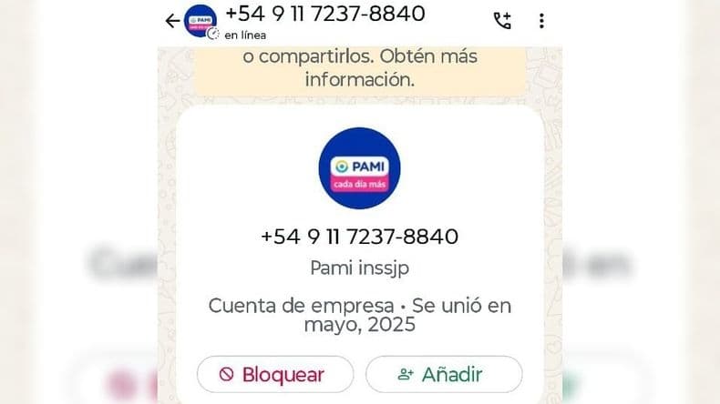 Alertan por intento de estafa virtual a una jubilada: simularon ser del PAMI para hackearle el celular