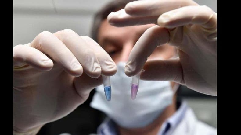 Cómo trabajan los científicos que crearon el neokit para detectar coronavirus