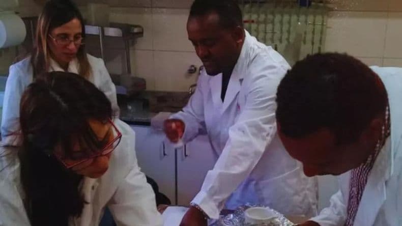 Biofertilización: Promueven la reducción de los fertilizantes sintéticos