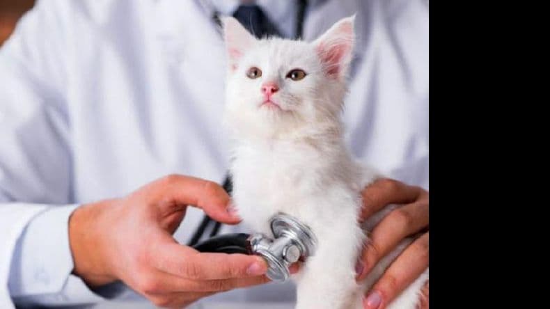La Facultad de Veterinaria de la Unlp testea a mascotas de pacientes con coronavirus