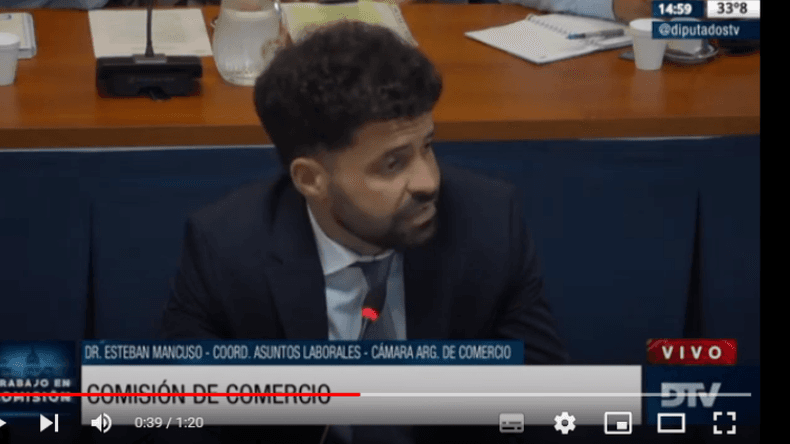 En la Comisión de Comercio, Cámaras y Pymes abordaron la temática de los juicios laborales y el registro de empleados