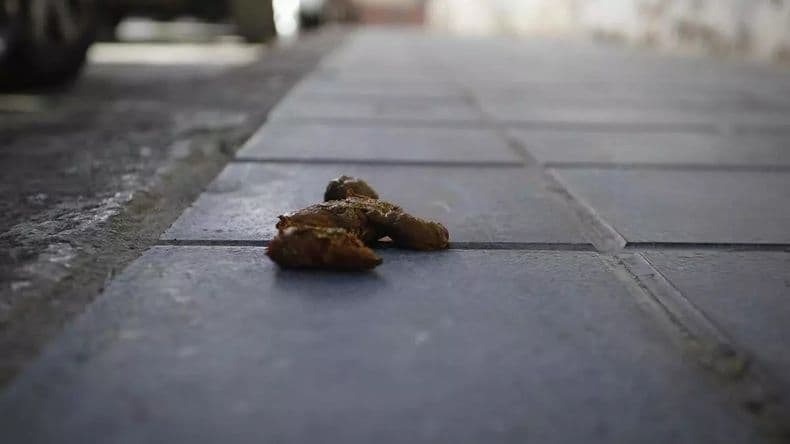 Algo huele mal entre vecinos: los excrementos del perro generaron una acalorada discusión y una grave amenaza