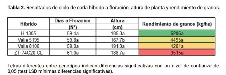 El girasol confitero gana terreno en el noroeste bonaerense
