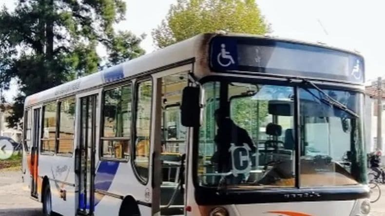 Elecciones: transporte gratuito en Pergamino para el domingo 7 de septiembre