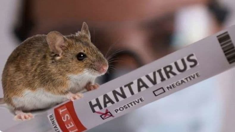 Falleció una persona por hantavirus en Arrecifes