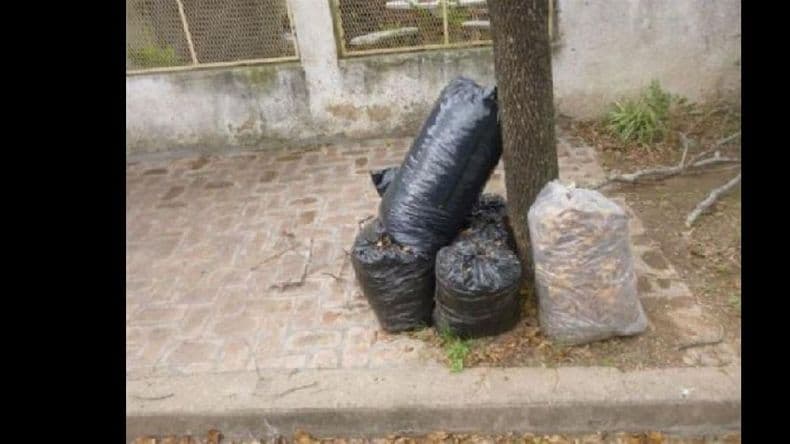 Cronograma de enero de recolección de residuos voluminosos