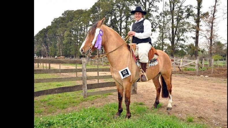 Arranca la Exposición de Caballos Criollos