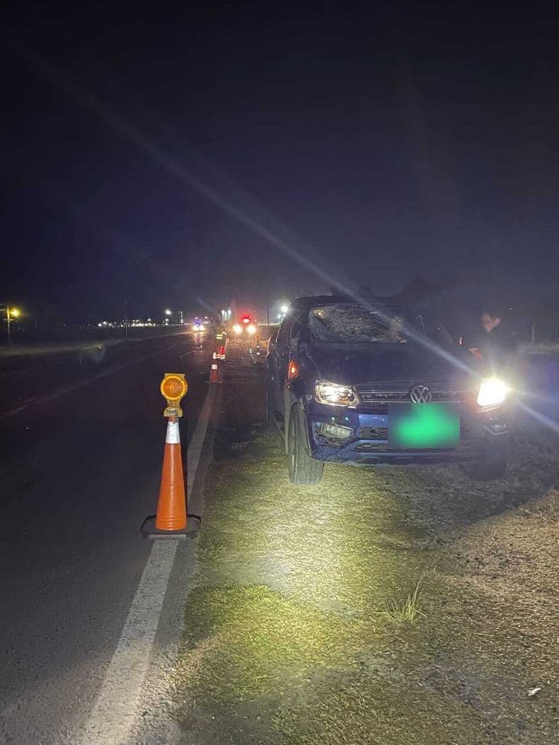 Una camioneta chocó contra un caballo suelto en la autopista de la ruta 8. Importante operativo de emergencia