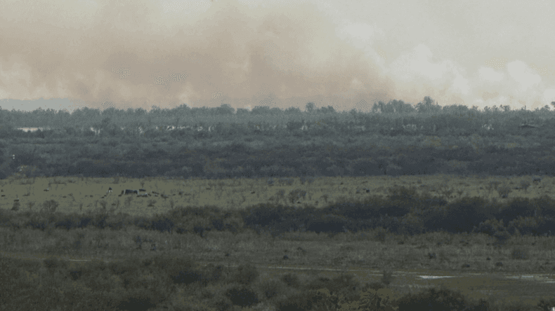 San Nicolás: Volvieron a iniciarse nuevos incendios en las islas Lechiguanas
