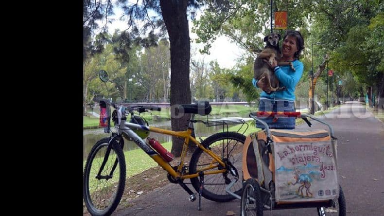 “La Hormiguita Viajera Jessi” presentará durante este ciclo lectivo sus cuentos infantiles