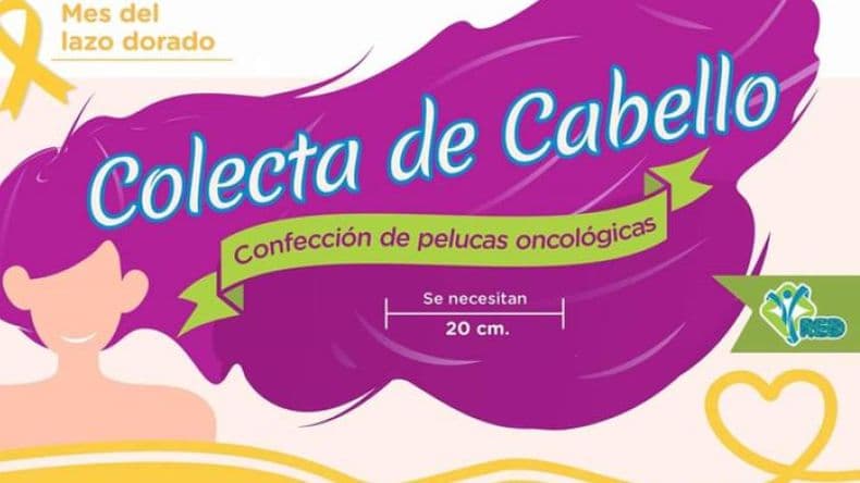 Colecta Federal de Cabello: ¿Dónde se realizará en nuestra ciudad?