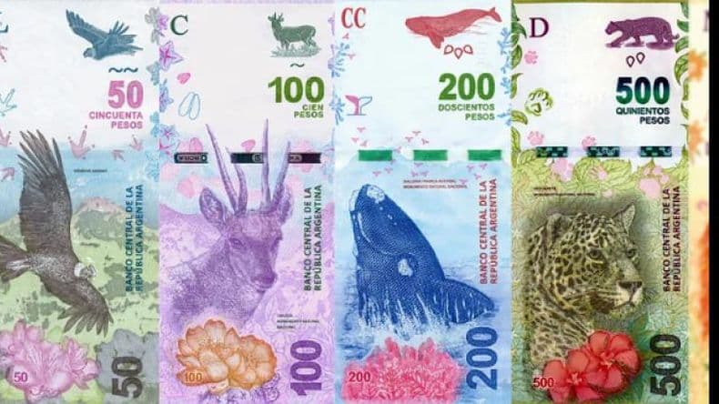 Nuevos billetes: en qué personajes piensa el Gobierno para reemplazar a los animales