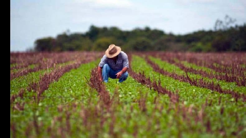 Se conmemora hoy el Día del Agricultor