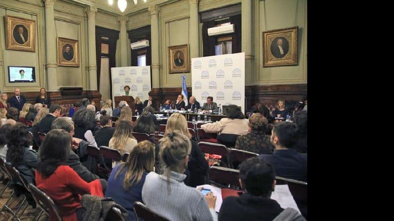 Se desarrolló otra audiencia sobre la legalización del aborto