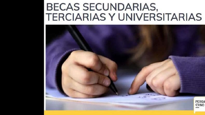 Cuestionable decisión del intendente Martínez de no pagar las becas municipales
