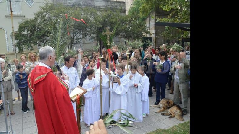 Recordando la entrada de Jesús a Jerusalén, la Iglesia Católica da inicio a la Semana Santa