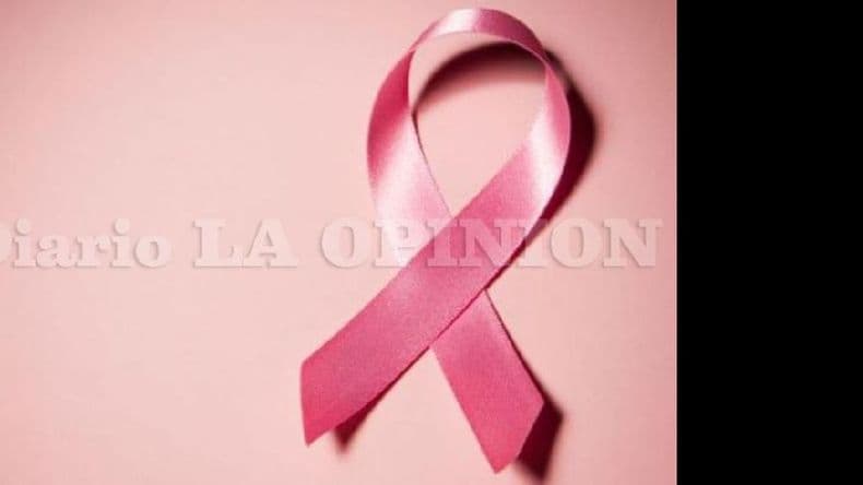 Docentes y alumnos de la EET Nº 1 caminarán contra el cáncer de mama