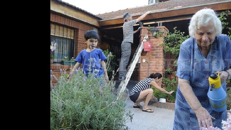 Dengue: continúa la campaña de invierno