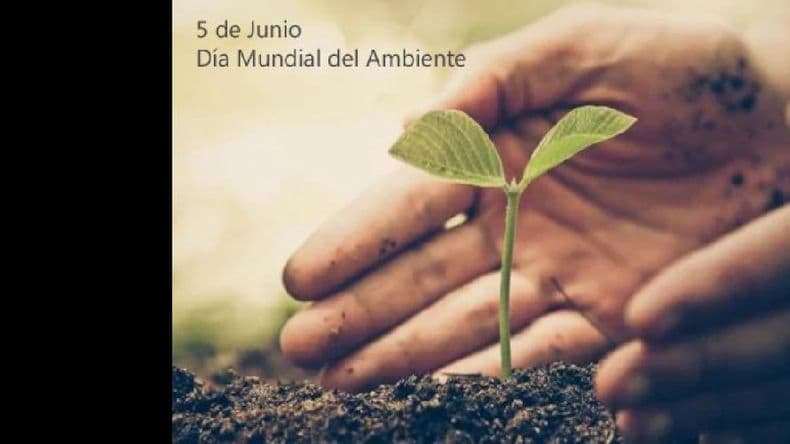 Un millón de árboles en un año: la nueva campaña sustentable para ayudar al planeta
