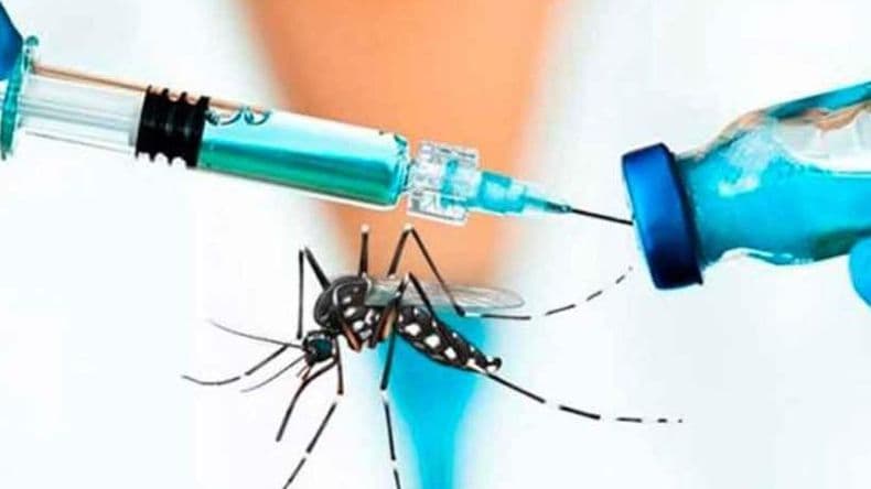 Vacunas contra el dengue: Provincia comenzó a dar turnos