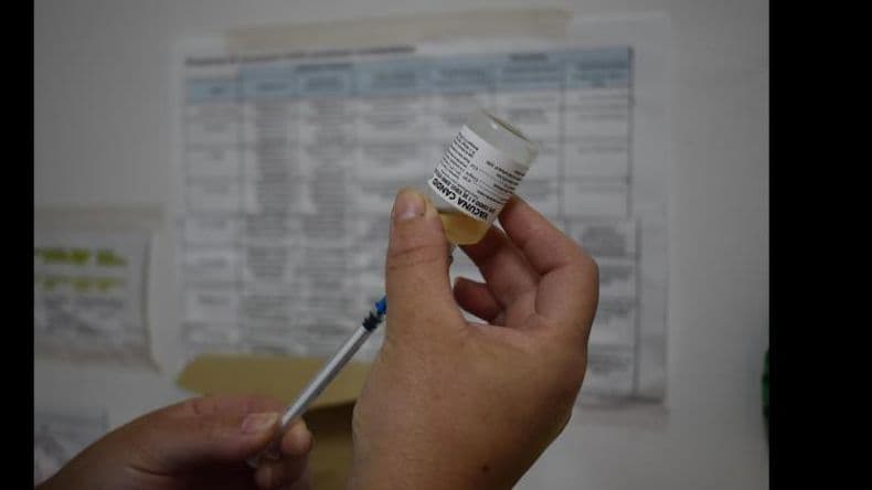Instan a vacunarse contra la Fiebre Hemorrágica Argentina