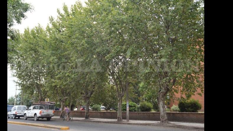 Este domingo habrá cortes de luz de 6:00 a 12:00