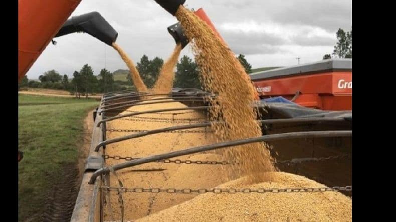 Casi una cuarta parte de la cosecha nueva ya está vendida