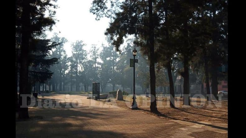 Fuego en el Paraná: el humo se percibe en nuestra ciudad