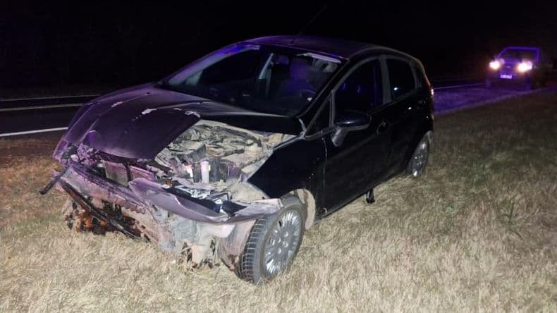 Un cerdo suelto provocó un siniestro vial en la ruta nacional 8
