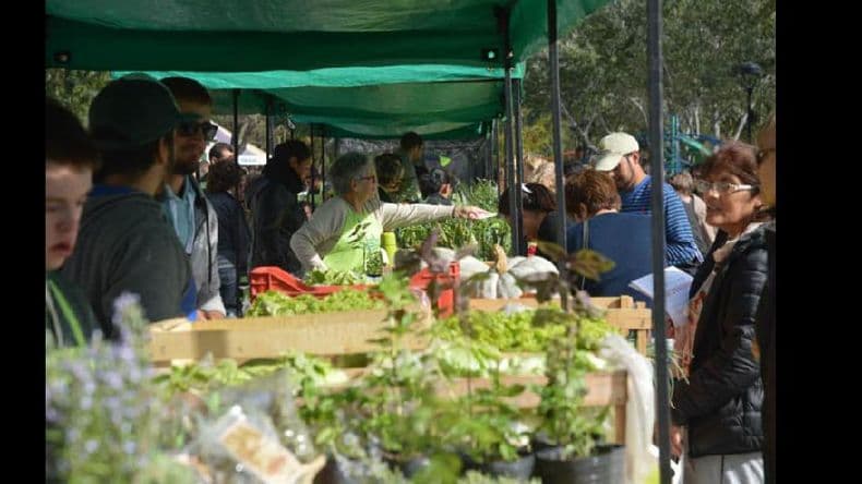 Feria Verde Agroecológica: nuevo encuentro mañana en el Parque España