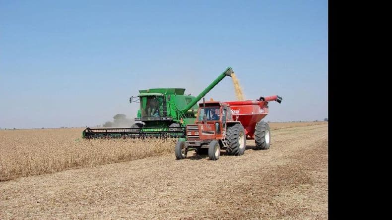 Soja: elevaron de 57 a 58,5 millones de toneladas la proyección de la cosecha
