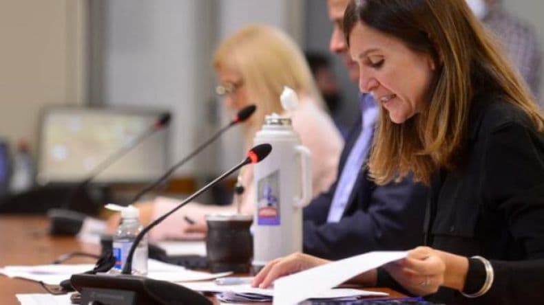 Bono de $18.000: abre la inscripción y la Anses auditará cada caso