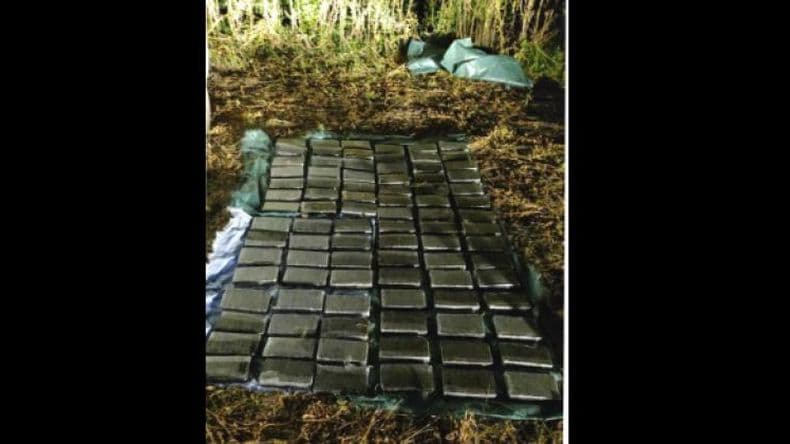 Encuentran más de 80 kilogramos de cocaína en un campo de Rancagua