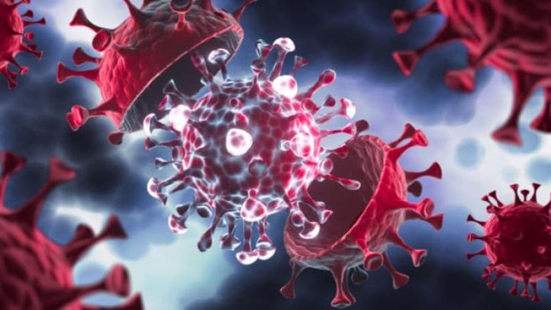 Coronavirus: detectaron en el país dos casos de la variante EG.5